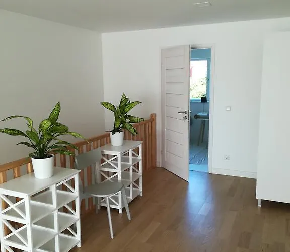 Tamme Flint Apartment Tartu