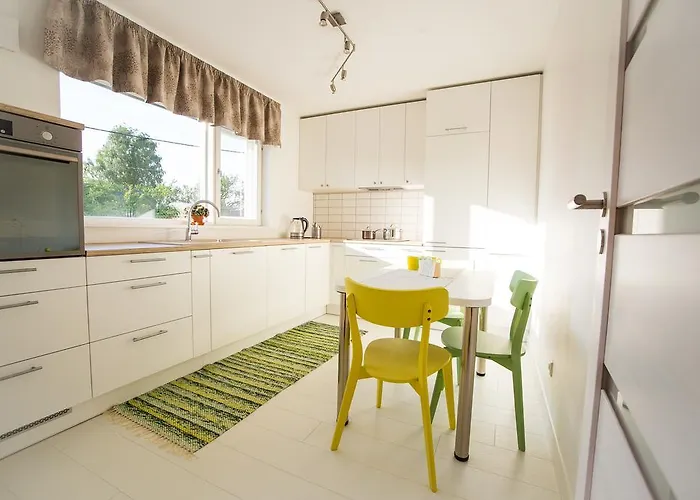 Tamme Flint * 타르투