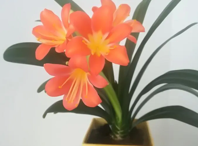 Tamme Flint 아파트